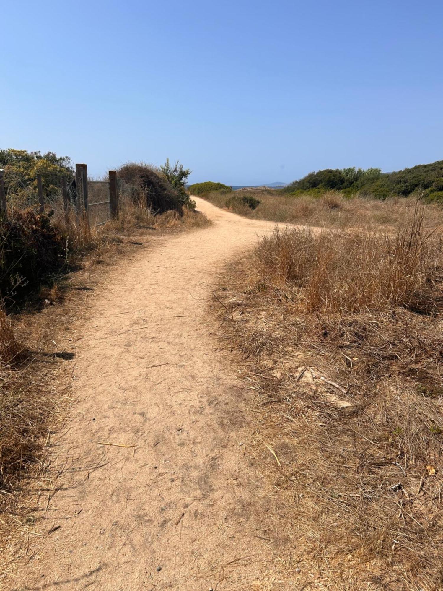 La Belle Vie F4 Bord De Plage Avec Jardin Calcatoggio  Zewnętrze zdjęcie